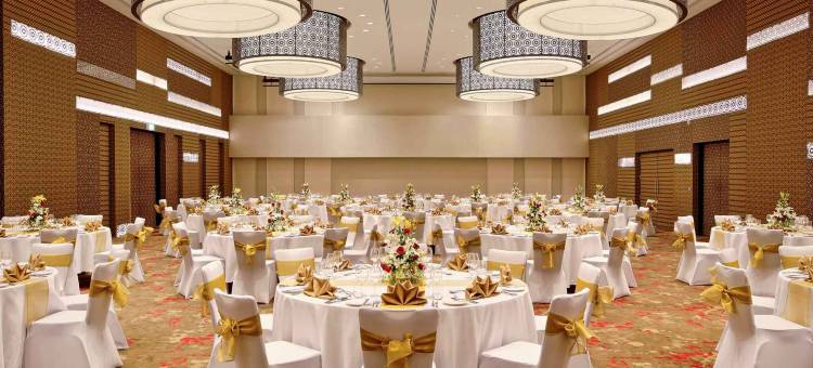 浦那纳加尔路诺富特酒店(Novotel Pune Nagar Road)图片