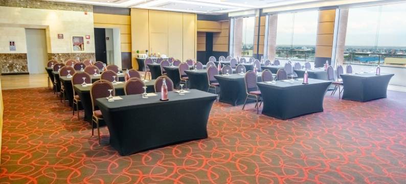 卡利索内斯塔酒店(Sonesta Hotel Cali)图片