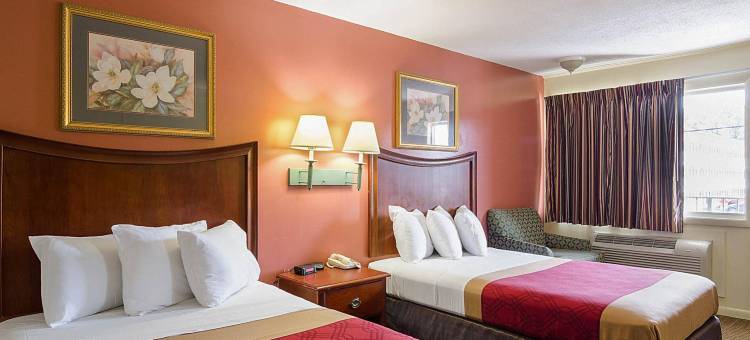 北夏洛茨维尔伊康旅馆(Econo Lodge North Charlottesville)图片