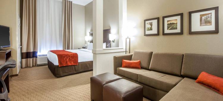 马利耶塔派克斯伯格市舒适套房酒店(Comfort Suites Marietta-Parkersburg)图片