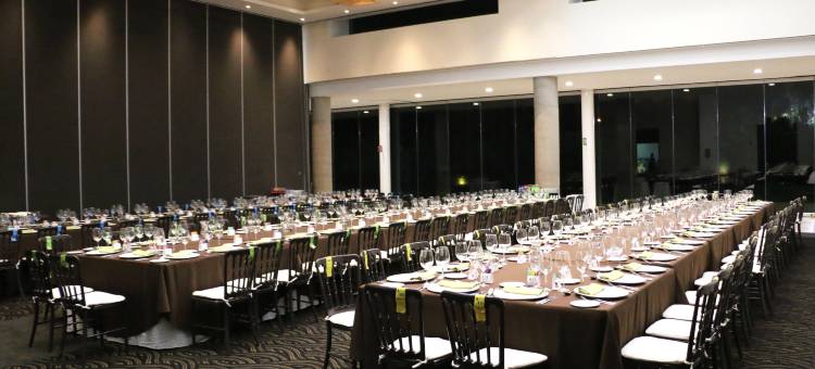 莱昂雷迪森珀里弗姆广场酒店(Radisson Poliforum Plaza Hotel Leon)图片