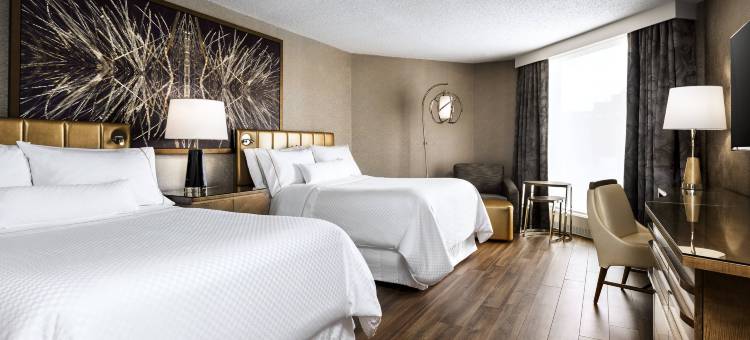 多伦多机场威斯汀酒店(The Westin Toronto Airport)图片