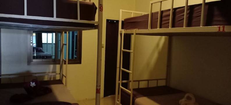 绿洲青年旅舍(Oasis Hostel)图片