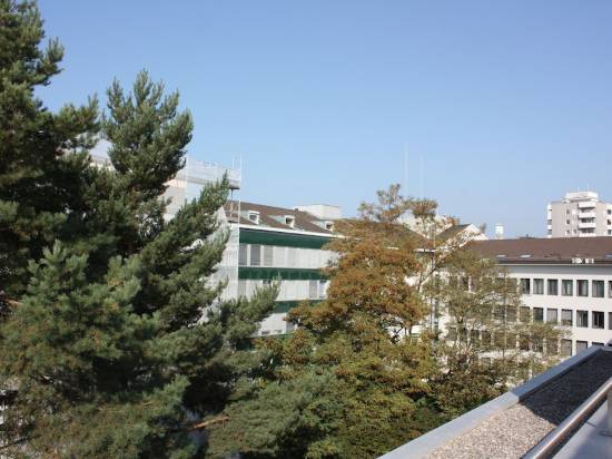 瑞士之星11區公寓