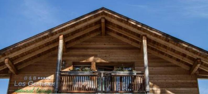 果明斯民宿(Les Gomines BB)图片