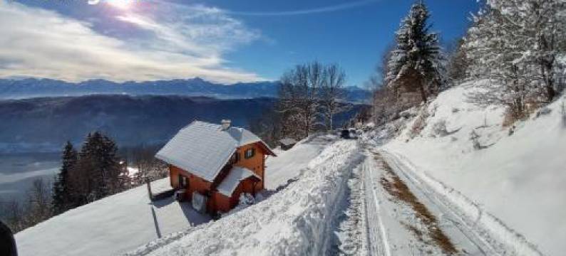 奥姆怀特奥尔特尔度假屋(Almchalet Orter)图片