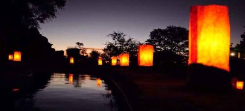 马蒂萨露营地(Madisa Camp)图片