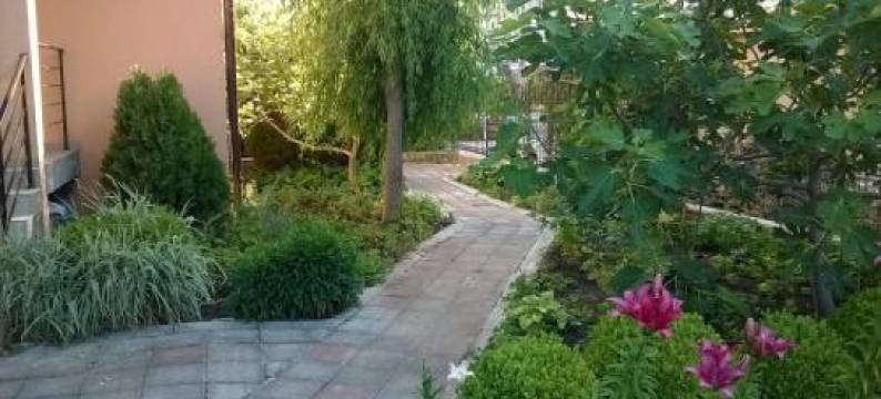 415号酒店(Hotel 415)图片