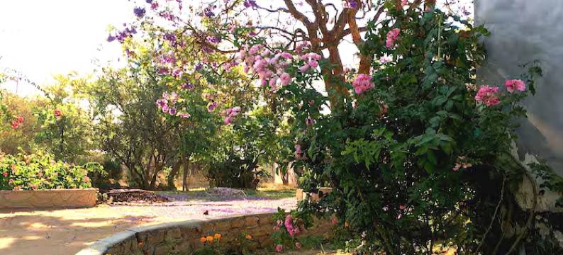 登蒂小屋旅馆(Dendere Lodge)图片