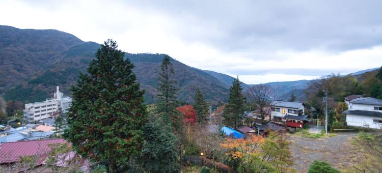 箱根海悦温泉酒店(Harriway Onsen Hotel Hakone)图片