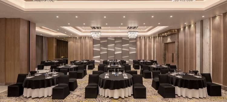 孟买安德瑞MIDC丽笙酒店(Radisson Mumbai Andheri Midc)图片