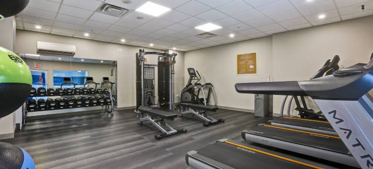 多伦多密西沙加福朋喜来登酒店(Four Points by Sheraton Toronto Mississauga)图片