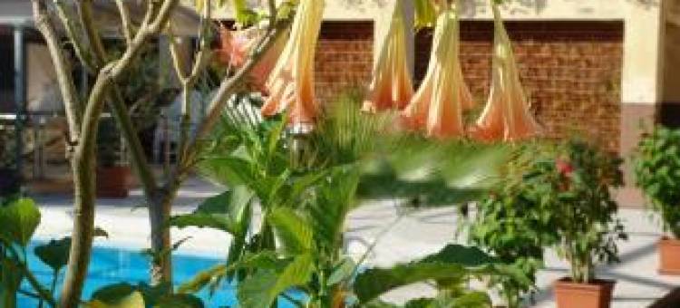 Alfa Hotel & Wellness Miskolctapolca图片