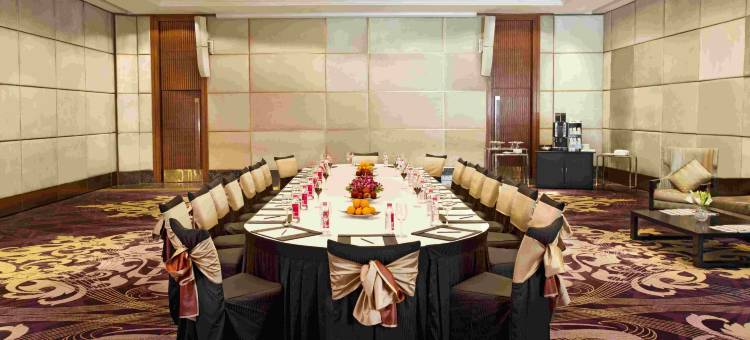 新德里马尤尔维哈尔诺伊达假日酒店(Holiday Inn New Delhi Mayur Vihar Noida)图片