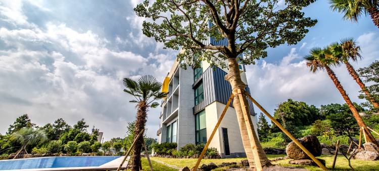 仲敏日出酒店(Sunrise Hotel Jungmun Branch)图片