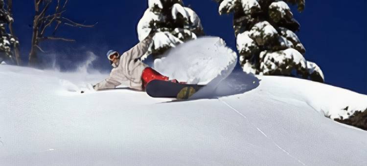 天际线贝斯特韦斯特汽车旅店(Best Western Skyline Motor Lodge)图片