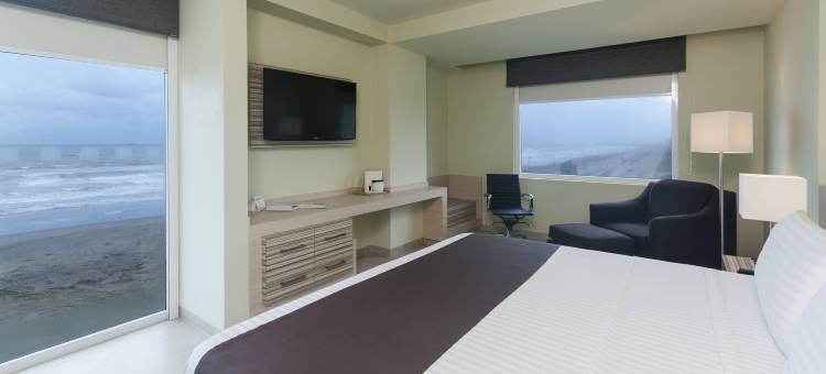 Holiday Inn 夸察夸尔科斯(Holiday Inn Coatzacoalcos)图片