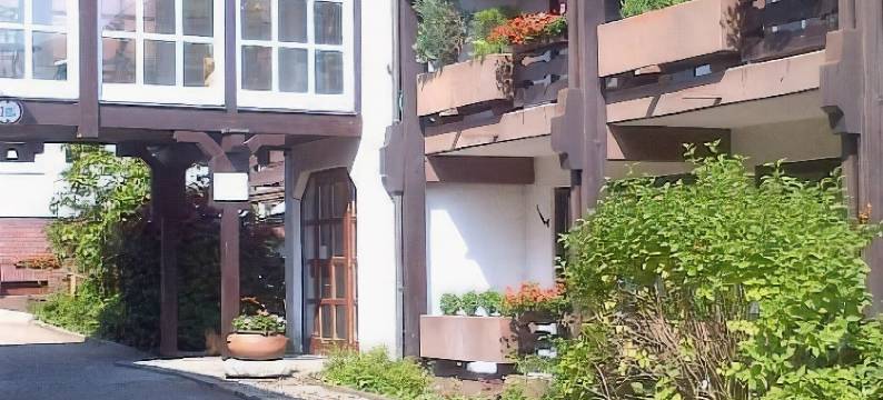 施泰纳兰德酒店(Landhotel Steiner)图片