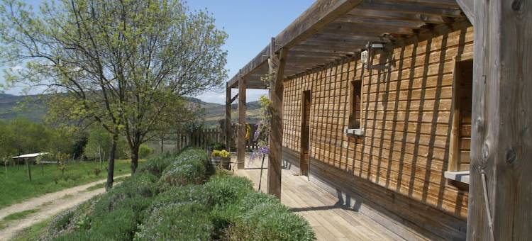 Modern Chalet in Roquetaillade with Swimming Pool图片
