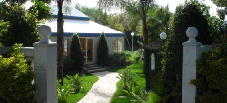 绿洲度假村(El Oasis Villa Resort)图片