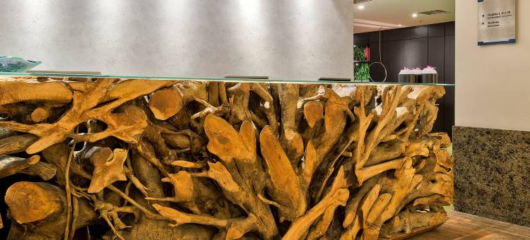 美利亚保利斯塔酒店(Meliá Paulista)图片