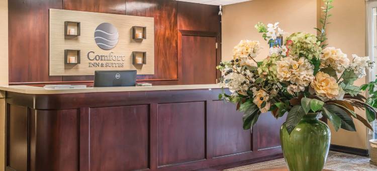 西雅图北舒适套房酒店(Comfort Inn & Suites Seattle North)图片