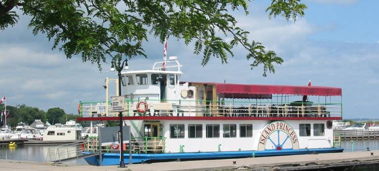 舒适酒店(Comfort Inn)图片