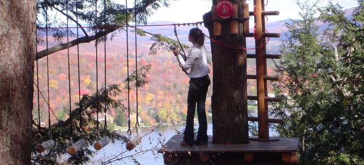 舒适酒店(Comfort Inn)图片