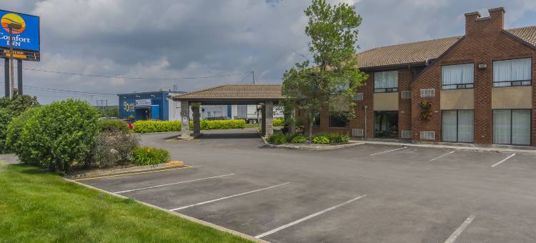 莱维斯舒适酒店(Comfort Inn)图片