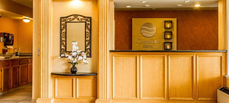 纳帕谷六旗探索王国凯艺酒店(Quality Inn Near Six Flags Discovery Kingdom-Napa Valley)图片