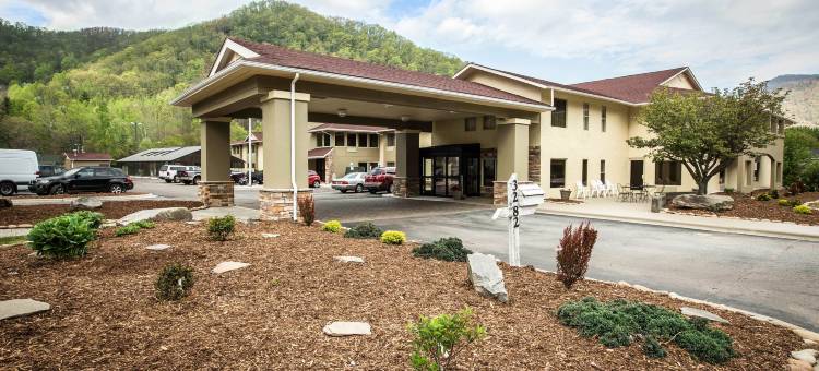 大烟山国家公园附近舒适酒店(Comfort Inn Near Great Smoky Mountain National Park)图片