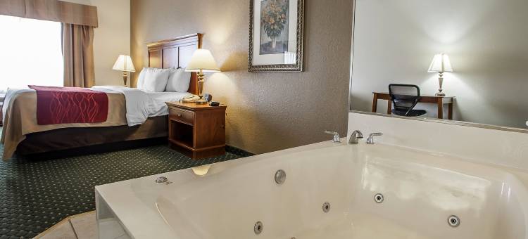 达文波特四城舒适套房酒店(Comfort Inn & Suites Davenport - Quad Cities)图片