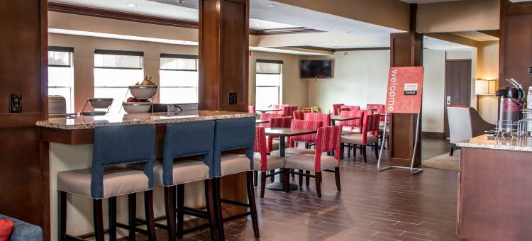 纽布朗费尔斯舒适套房酒店(Comfort Suites)图片