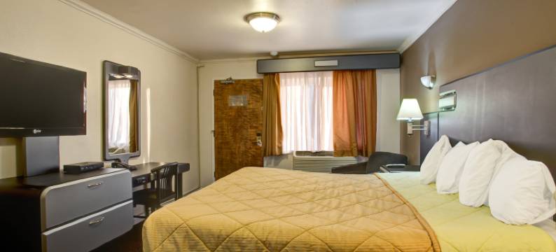 德里夫特伍德酒店(Driftwood)图片