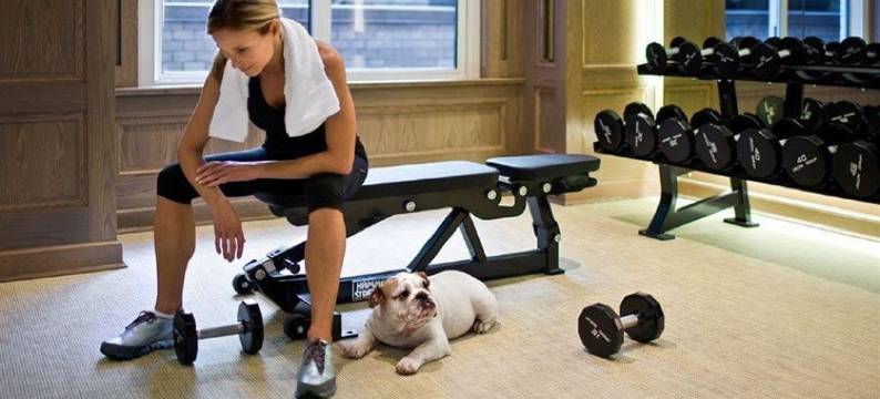 曼哈顿市中心豪华精选酒店(The Luxury Collection Hotel Manhattan Midtown)图片