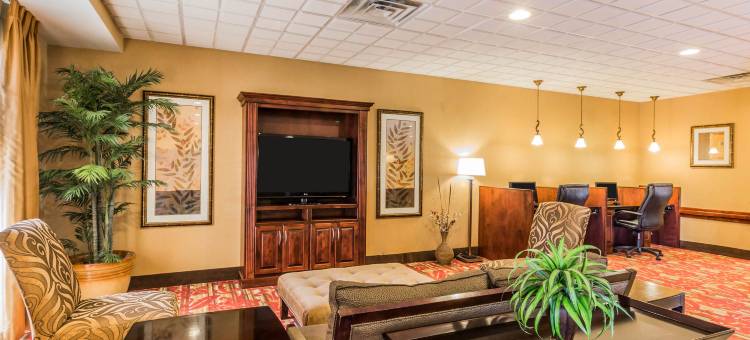 舒适套房酒店(Comfort Suites)图片