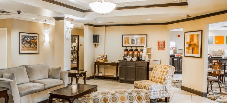 机场特佛维路舒适酒店(Comfort Inn Airport Turfway Road)图片