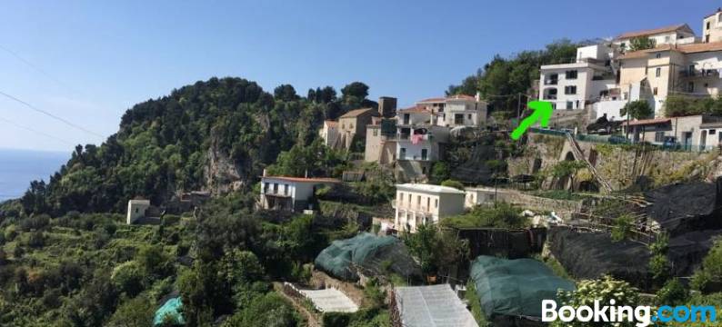 空中柠檬住宿(Lemon in the Air)图片