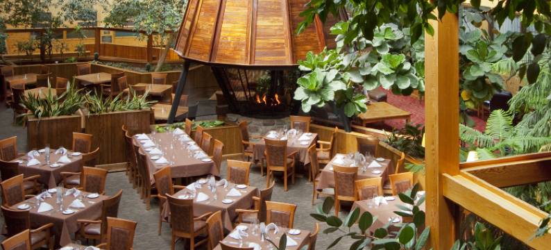 森林公园酒店(Forest Park Hotel)图片