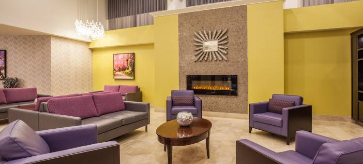 Holiday Inn 多伦多 - INT'L机场(Holiday Inn Toronto International Airport)图片