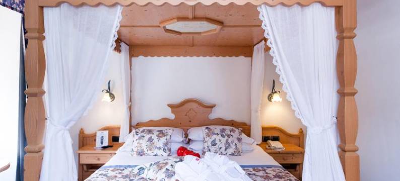 维也纳酒店(Hotel Vienna)图片