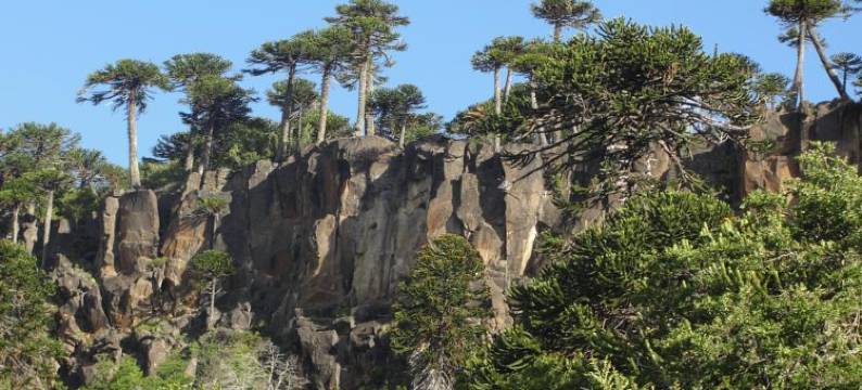 Paraiso de Montaña图片