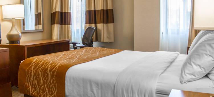 塞奥西特长岛舒适酒店(Comfort Inn Syosset-Long Island)图片