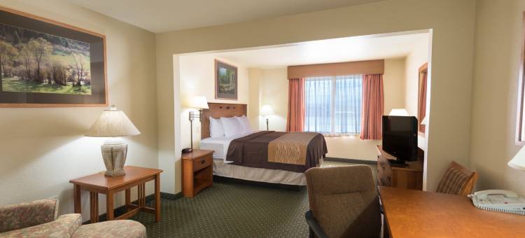 谢里丹舒适套房酒店(Comfort Inn & Suites Sheridan)图片