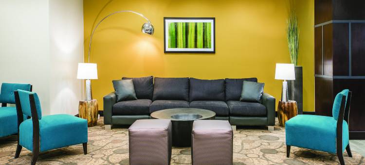 冈萨雷斯拉昆塔温德姆套房酒店(La Quinta Inn & Suites by Wyndham Gonzales TX)图片