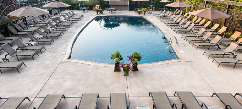 新希望套房酒店(New Hope Inn & Suites)图片