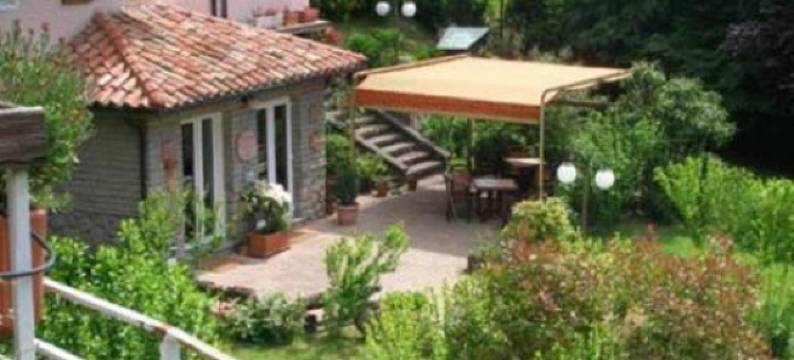 帕可尔萨酒店(Hotel Parco Erosa)图片