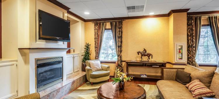 利斯堡凯隆酒店及会议中心(Clarion Hotel & Conference Center Leesburg)图片