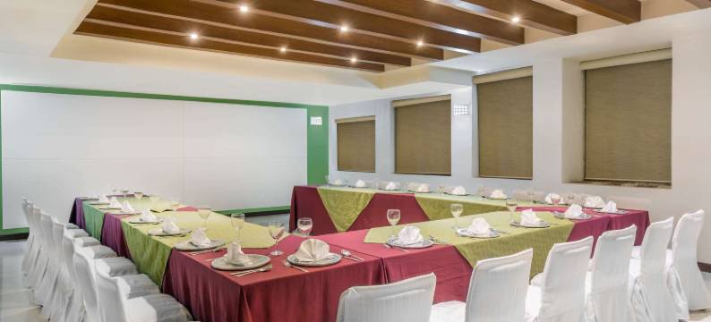 奥瑞岗城温德姆花园酒店(Wyndham Garden Ciudad Obregon)图片