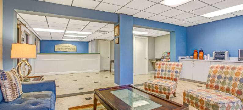 南坦帕套房酒店(Hotel South Tampa & Suites)图片